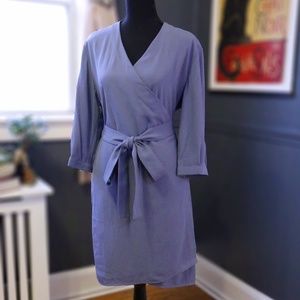Everlane Japanese GoWeave Mini Wrap Dress (NWT, Size 6, Blue)